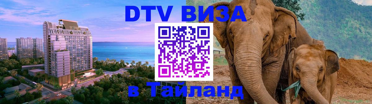 Сколько стоит DTV виза — актуальные цены, оформление даже без документов - Сураттхани 